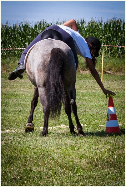 Mounted Games 065